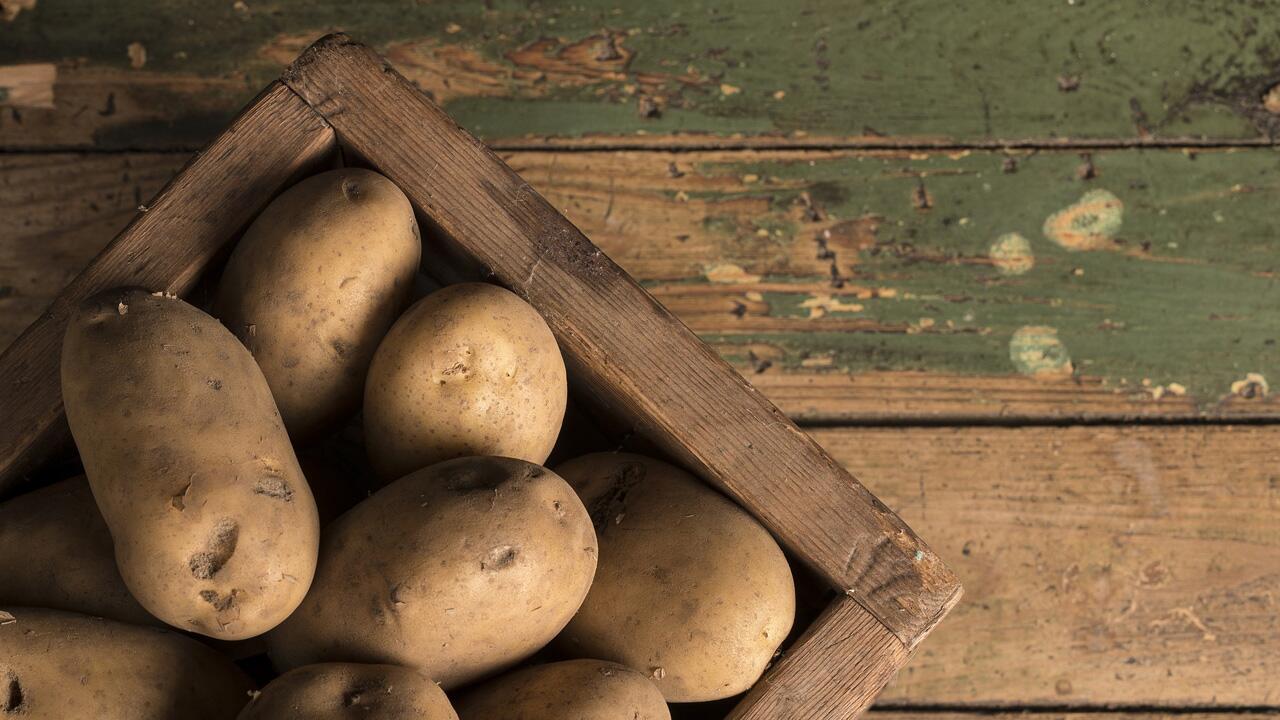 Tipps fürs Lagern von Kartoffeln