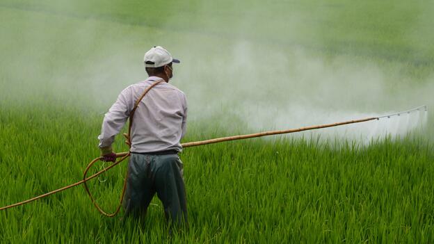 54 Pestizid-haltige Lebensmittel im Test