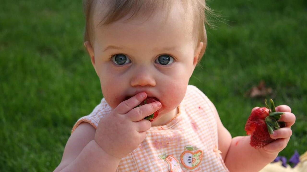 Baby-led Weaning: Wenn Babys selbst bestimmen, was sie essen 