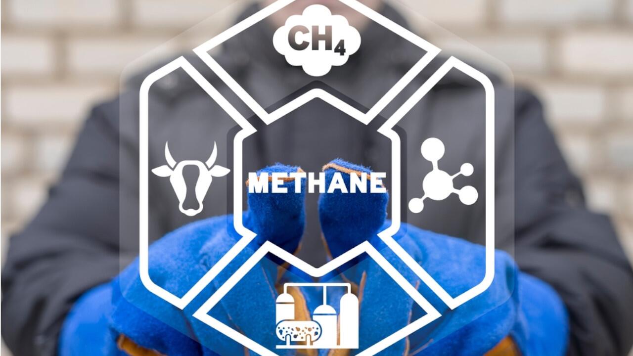 Methan ist um ein Vielfaches schädlicher als CO2.
