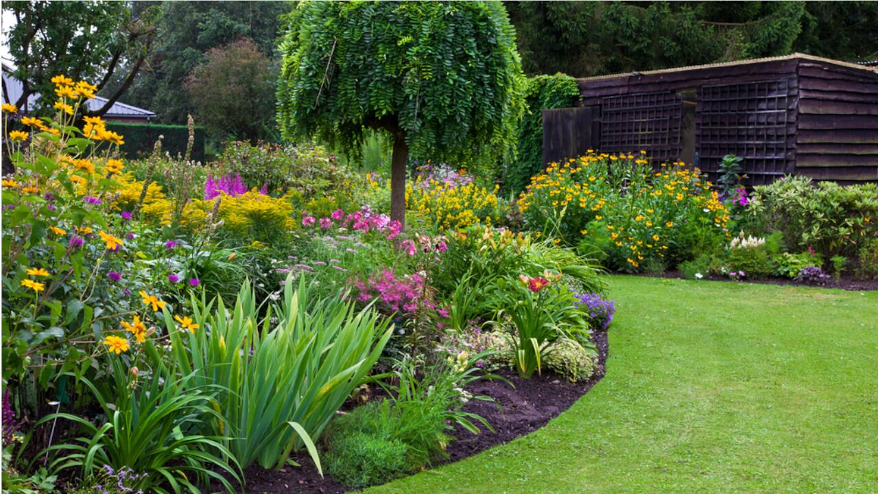 Um gut gegen Starkregen gewappnet zu sein, sollte ein Garten möglichst dicht bepflanzt sein.