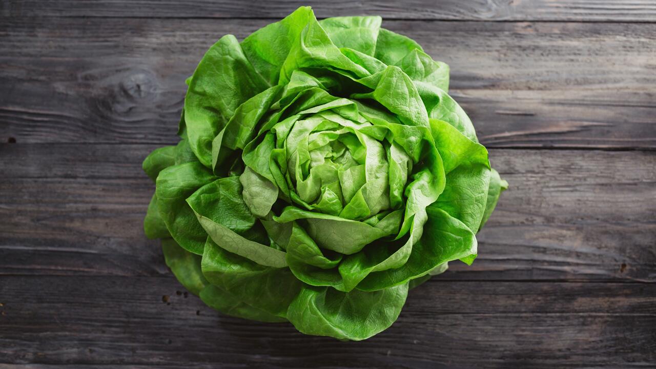 Welken Salat retten: So wird Salat wieder knackig