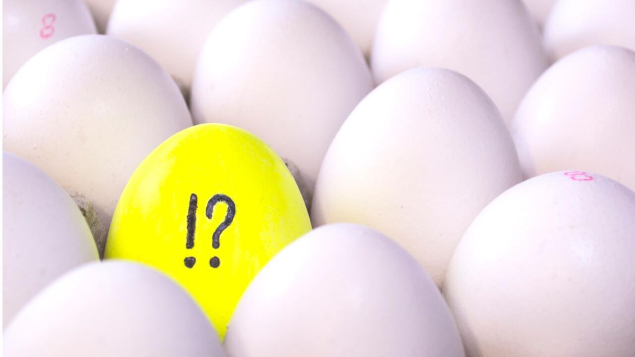 Wie viele Eier sind gesund?
