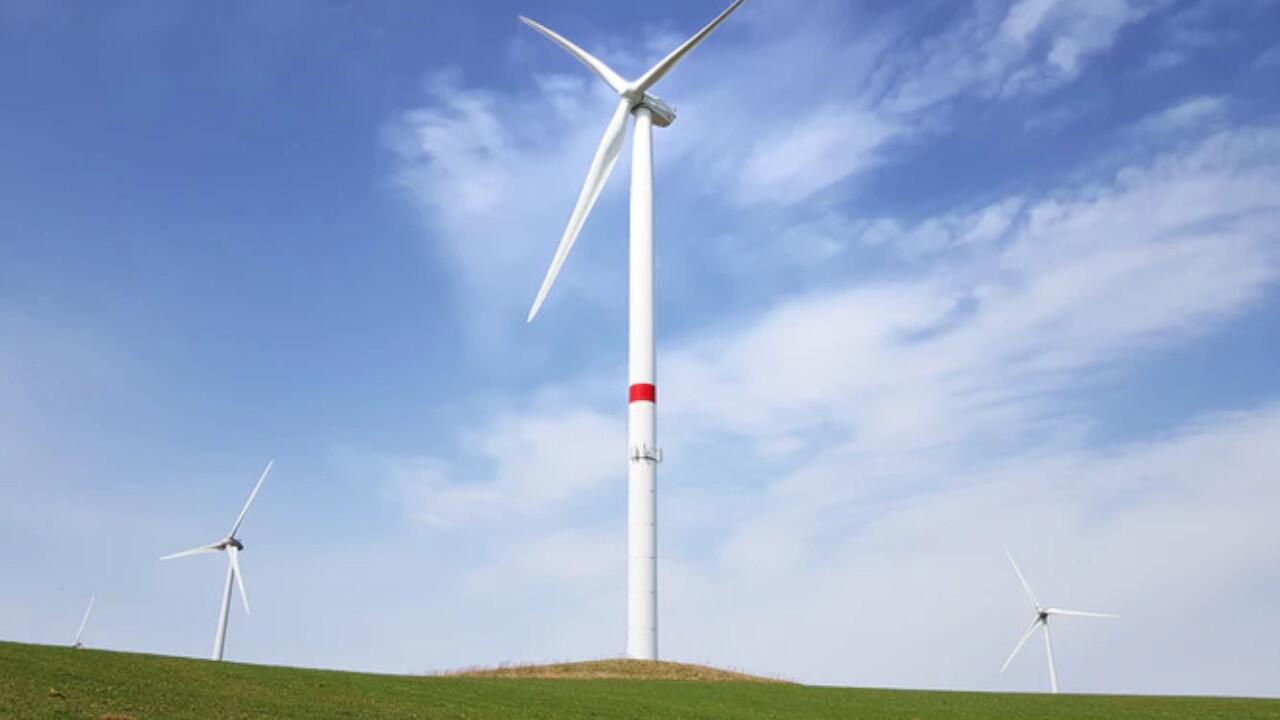 Windkraft und andere erneuerbare Energien machten im Frühjahr 2022 die Hälfte des Stromverbrauchs aus.