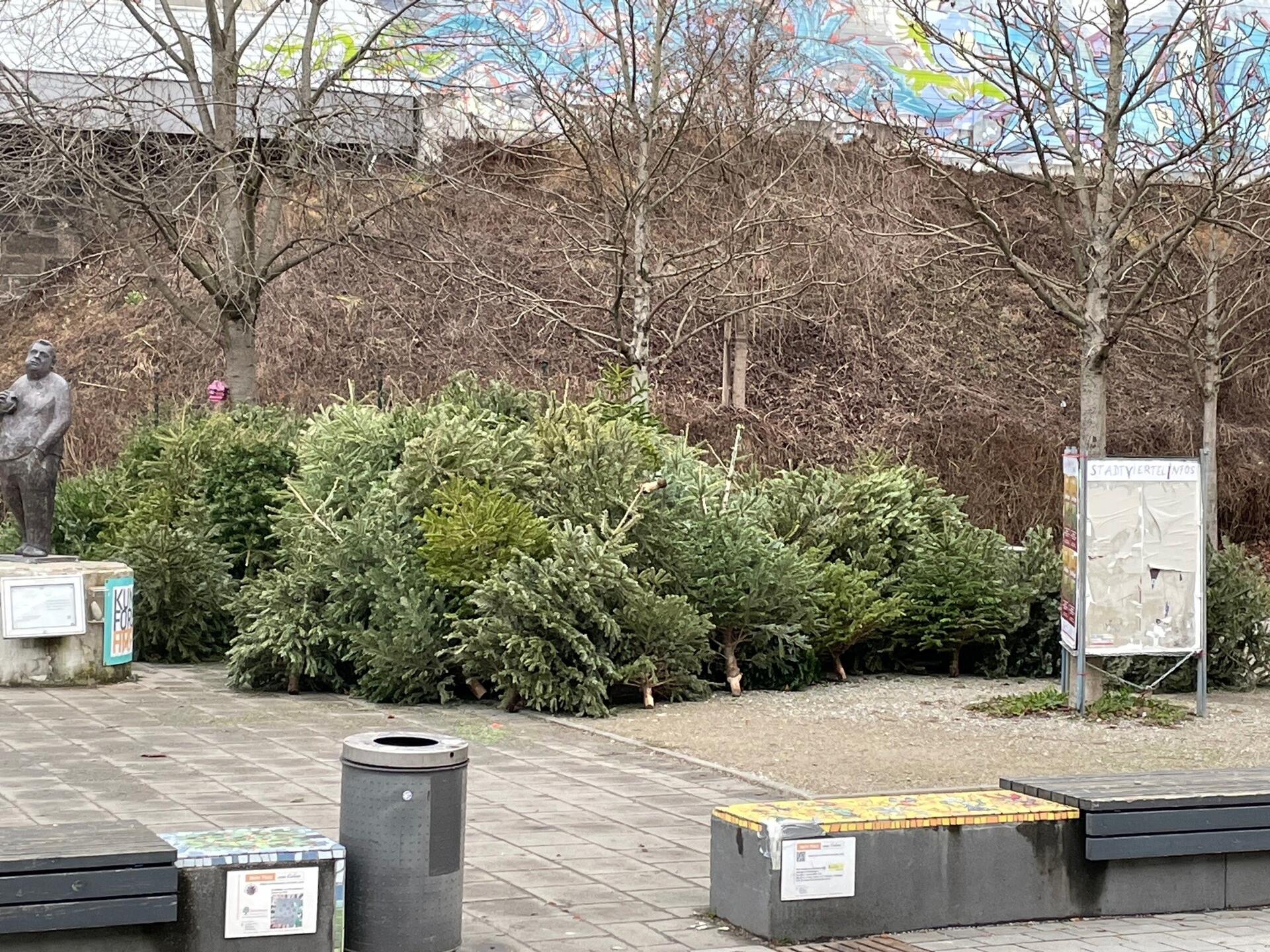 Wie hier in München werden für Weihnachtsbäume in vielen Kommunen kostenfreie Sammelstellen angeboten.