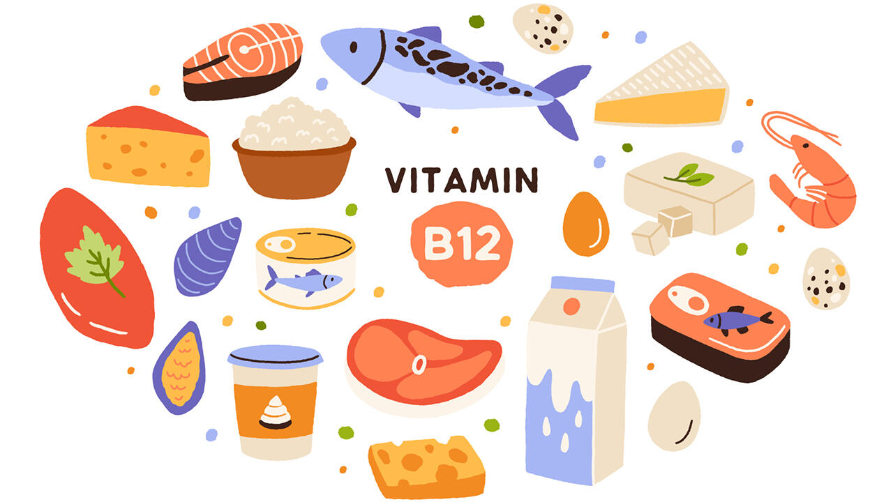 Vitamin B12 reichert sich fast nur in tierischen Nahrungsmitteln an.