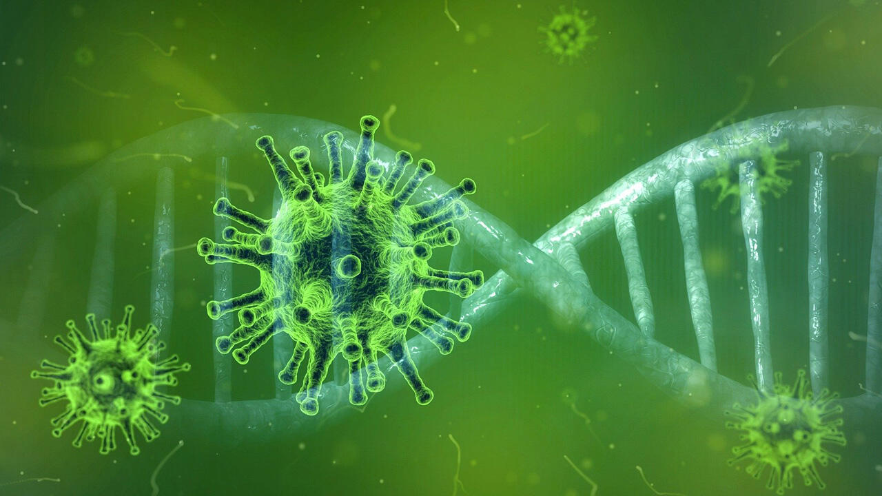 PCR-Tests weisen das Virus selbst nach, Antikörper-Tests testen auf Antikörper gegen das Virus.