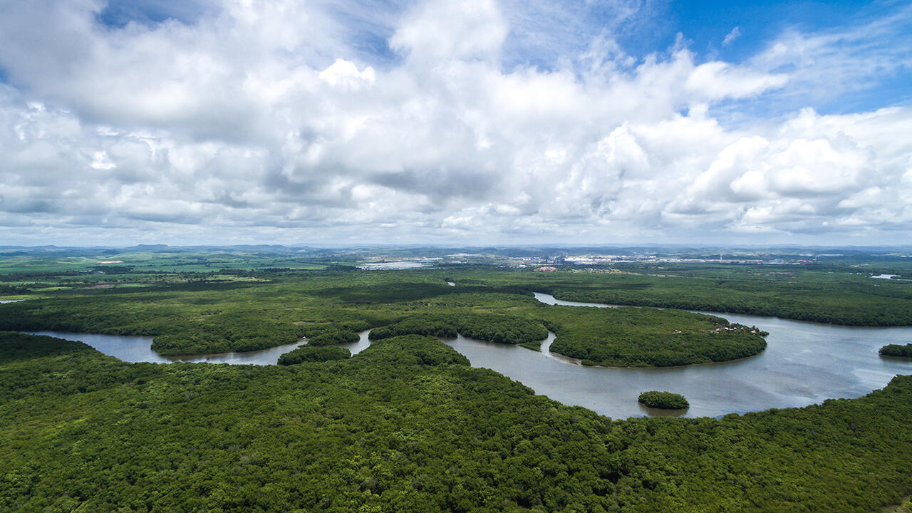 Gefährdete "grüne Lunge": Teile des Amazonas-Gebiets stoßen inzwischen mehr CO2 aus, als sie aufnehmen.