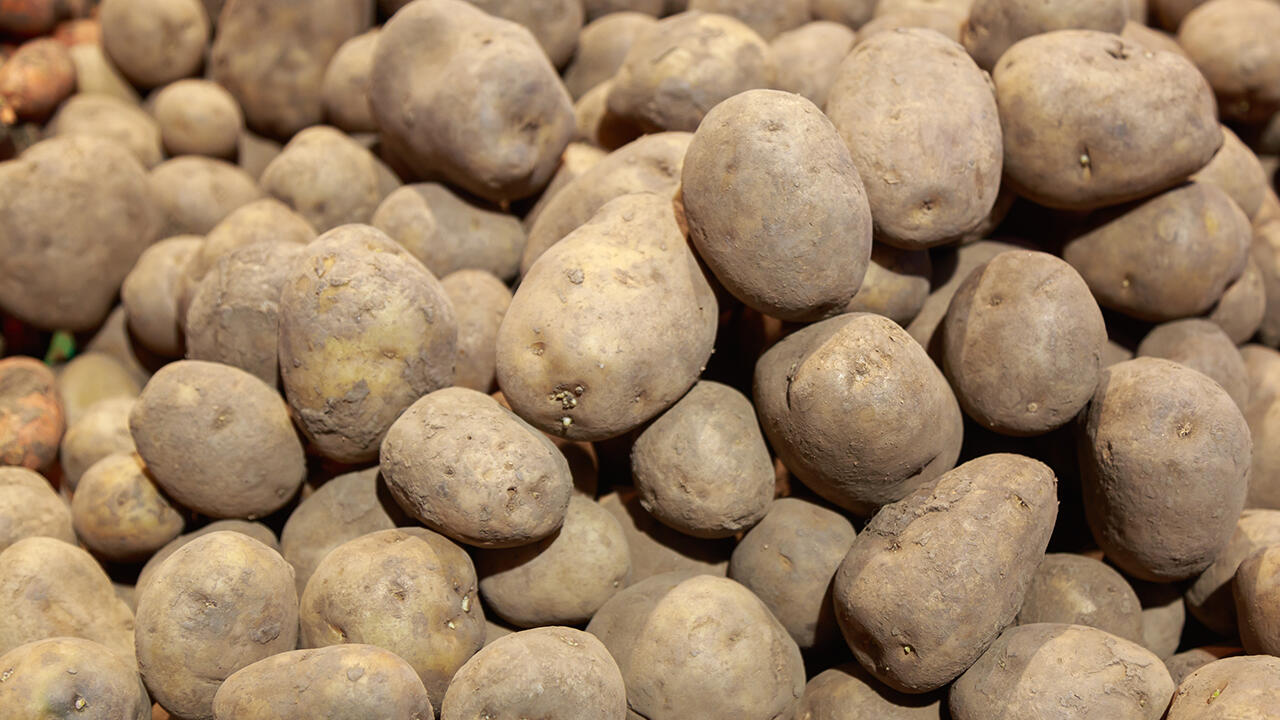 Eine Erdmiete bietet sich an, um Gemüse wie Kartoffeln für den Winter einzulagern. 