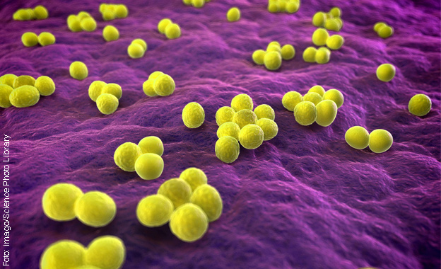 Antibiotika Antibiotika