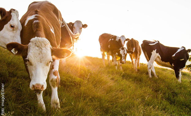 Ökologische Landwirtschaft Ökologische Landwirtschaft