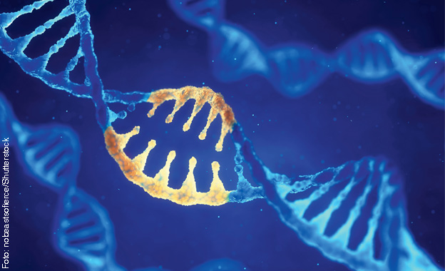 CRISPR/Cas CRISPR/Cas
