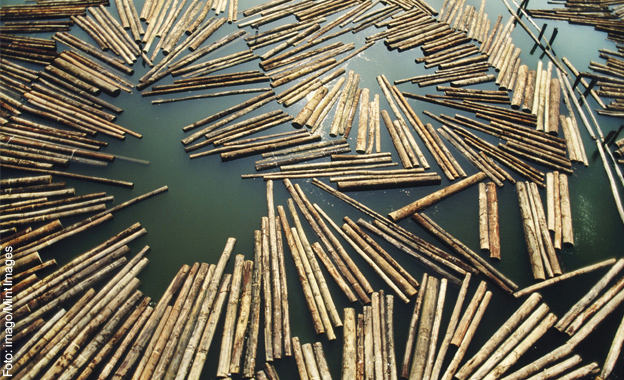 Holzhandelsverordnung Holzhandelsverordnung