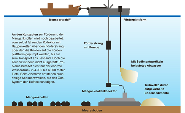 Kostbare Kartoffeln Kostbare Kartoffeln