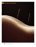 Handbuch Gesundheit Handbuch Gesundheit