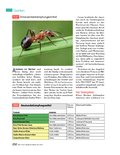 Handbuch Bauen, Wohnen, Renovieren Handbuch Bauen, Wohnen, Renovieren
