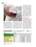 Handbuch Bauen, Wohnen, Renovieren Handbuch Bauen, Wohnen, Renovieren