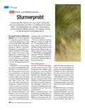 ÖKO-TEST Jahrbuch Kleinkinder für 2013 ÖKO-TEST Jahrbuch Kleinkinder für 2013
