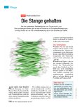Jahrbuch Kleinkinder 2015 Jahrbuch Kleinkinder 2015