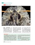Jahrbuch für 2016 Jahrbuch für 2016