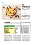 Jahrbuch für 2017 Jahrbuch für 2017
