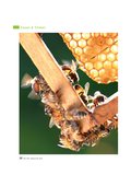 Jahrbuch für 2018 Jahrbuch für 2018