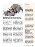 ÖKO-TEST Kompakt Haustiere ÖKO-TEST Kompakt Haustiere
