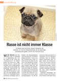 ÖKO-TEST Kompakt Haustiere ÖKO-TEST Kompakt Haustiere