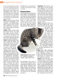 ÖKO-TEST Kompakt Haustiere ÖKO-TEST Kompakt Haustiere