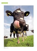 ÖKO-TEST März 2015 ÖKO-TEST März 2015