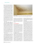 Spezial Bauen und Wohnen Seite 28