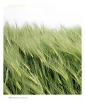 Spezial Heuschnupfen und Allergien Spezial Heuschnupfen und Allergien