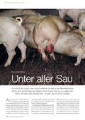 Spezial Vegetarisch / Vegan Spezial Vegetarisch / Vegan