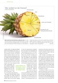 Spezial Vegetarisch / Vegan Seite 26 Spezial Vegetarisch / Vegan Seite 26