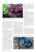 Spezial Vegetarisch / Vegan Seite 32 Spezial Vegetarisch / Vegan Seite 32