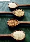 Spezial Vegetarisch / Vegan Spezial Vegetarisch / Vegan