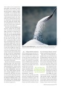 Spezial Vegetarisch / Vegan Seite 71 Spezial Vegetarisch / Vegan Seite 71