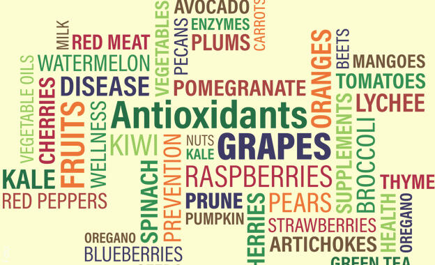 Ratgeber: Antioxidantien Ratgeber: Antioxidantien