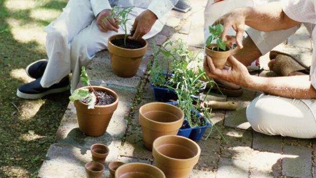 10 Torffreie Blumenerden im Test