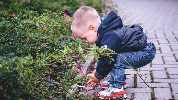 15 Kinderjacken für Herbst und Winter im Test