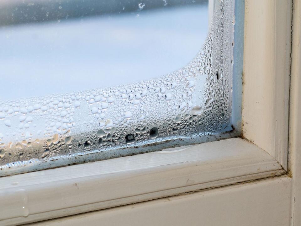 Kondenswasser am Fenster: 4 clevere Tipps, um nasse Scheiben zu