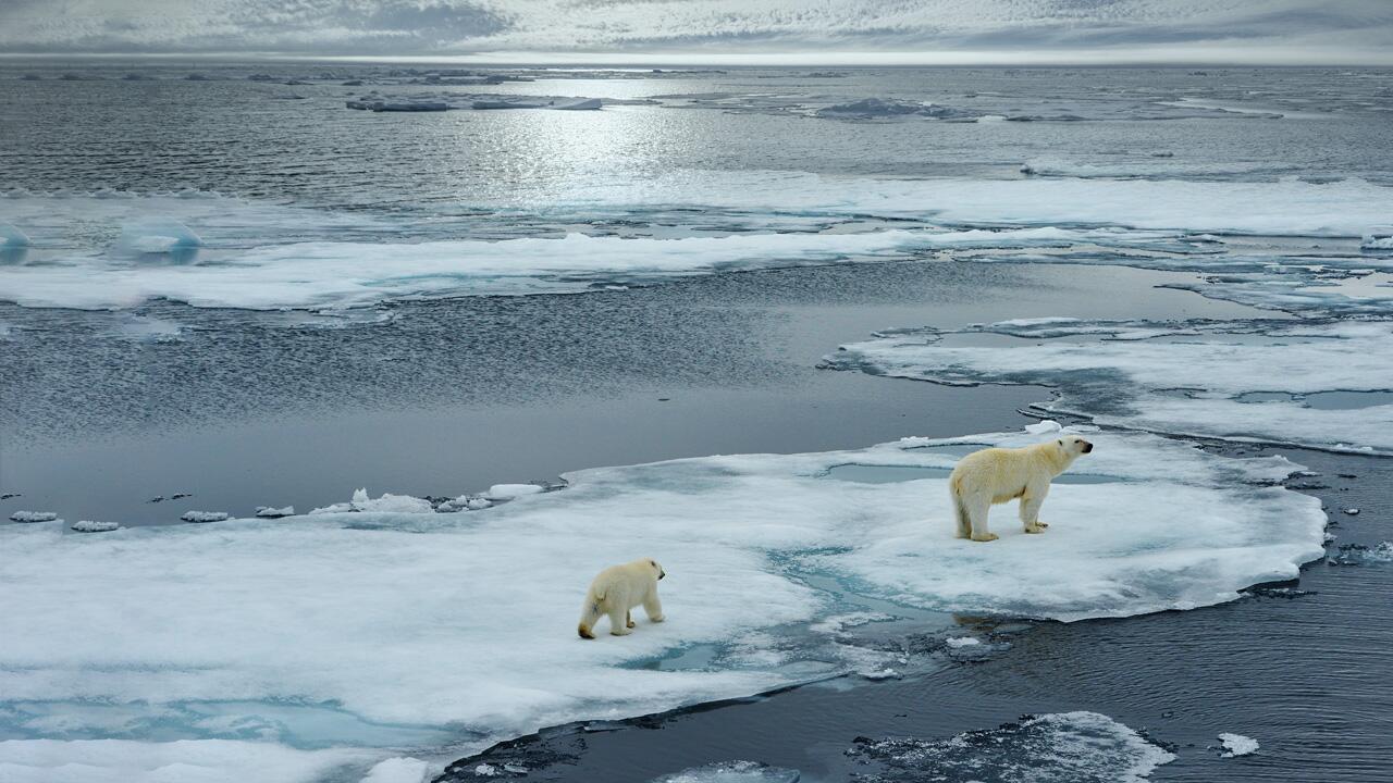 Alarmierender Bericht: Die Arktis schmilzt, der Meeresspiegel steigt