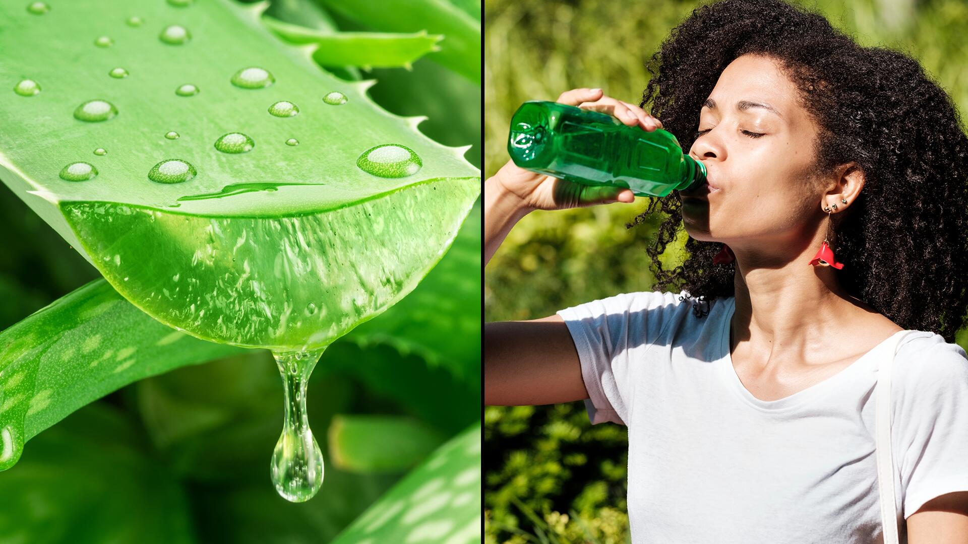 Aloe-vera-Saft: Was bringt es, ihn zu trinken? 
