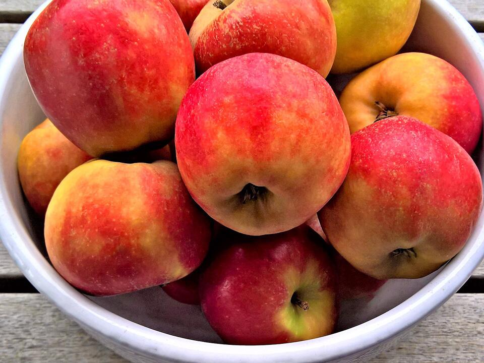 Apfel-Allergiker aufgepasst: Diese Apfelsorten sind besser verträglich -  ÖKO-TEST