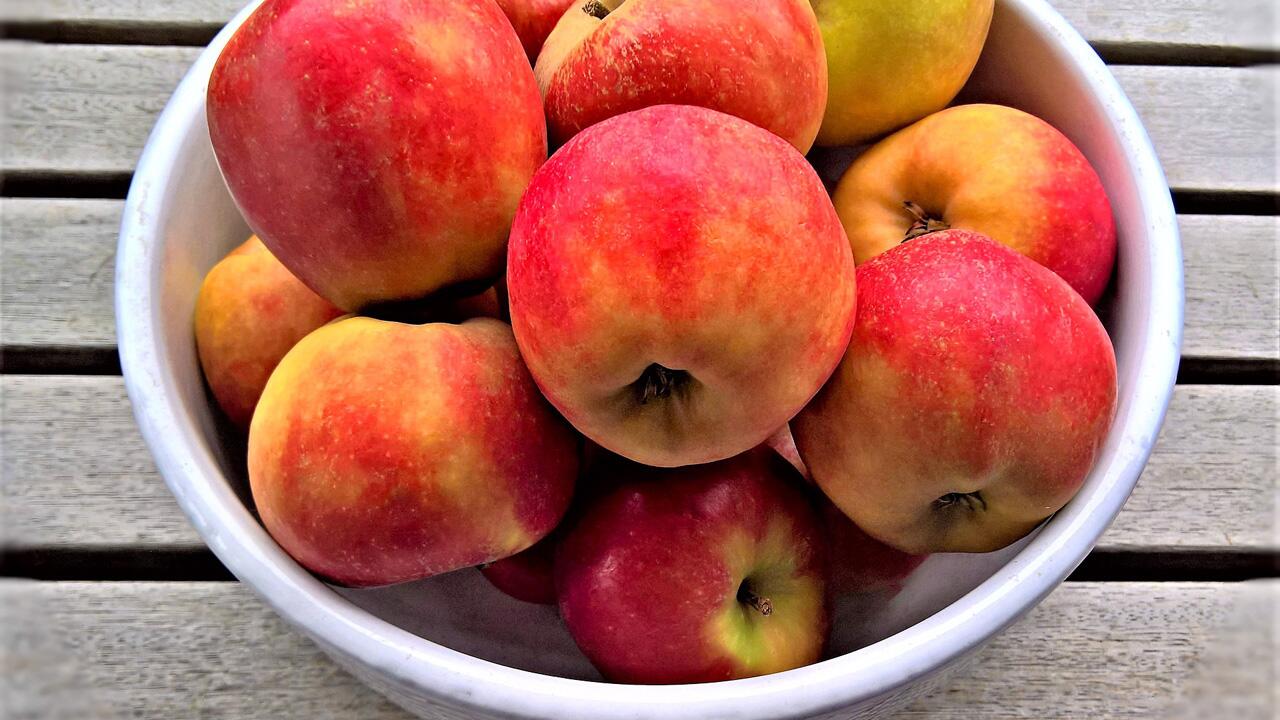Apfel-Allergie: Es gibt Äpfel, die unproblematisch sind