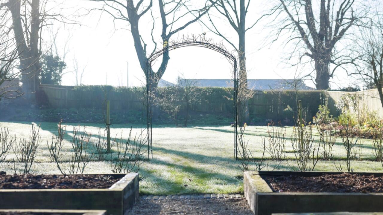 Bei einem milden Winter gibt es im Garten ein bisschen was zu tun.