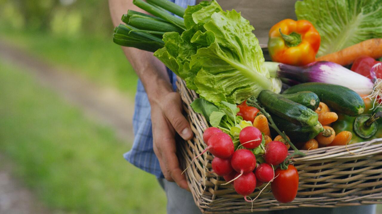 Bio-Landwirtschaft wächst leicht: Kommt bald mehr Tempo?