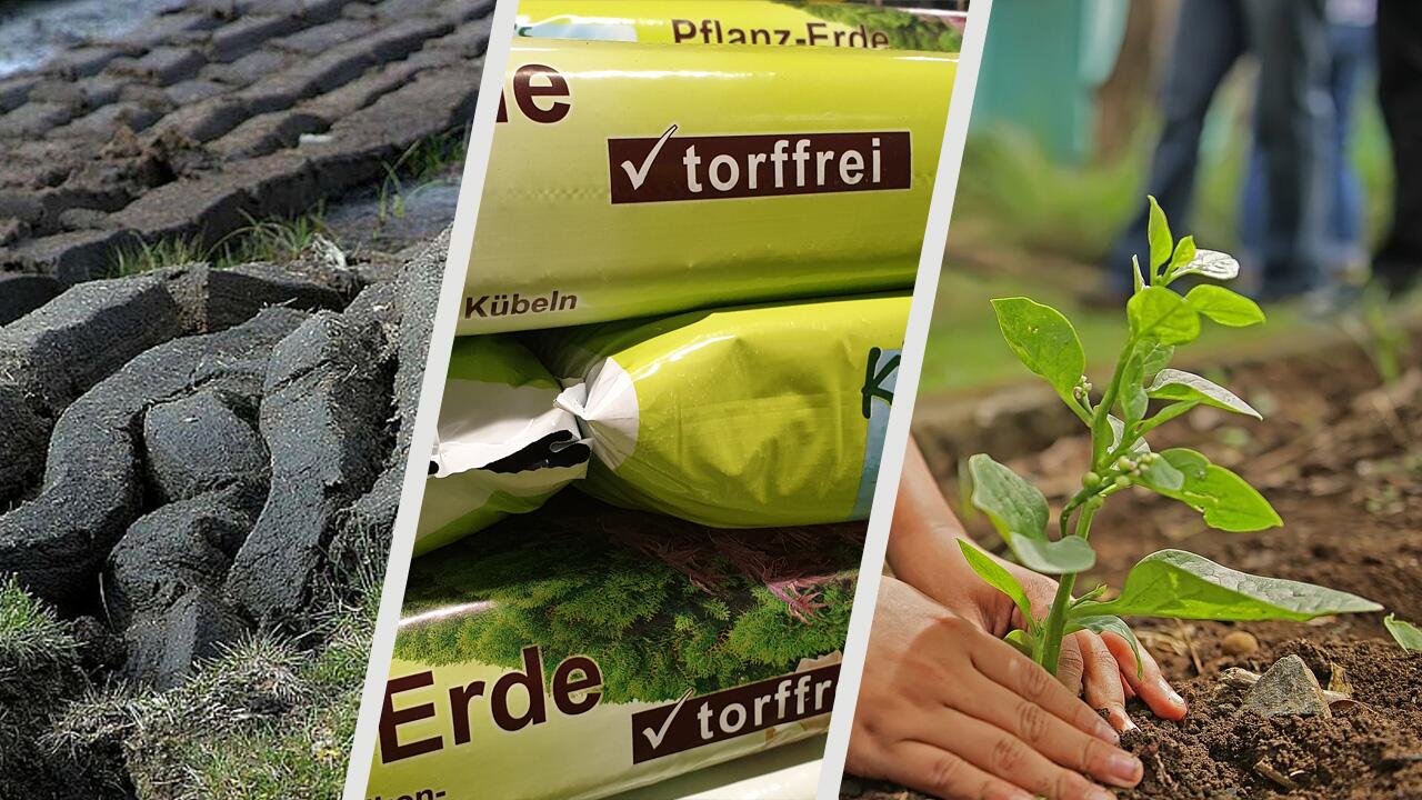 Bitte ohne Torf: Warum Sie torffreie Erde kaufen sollten