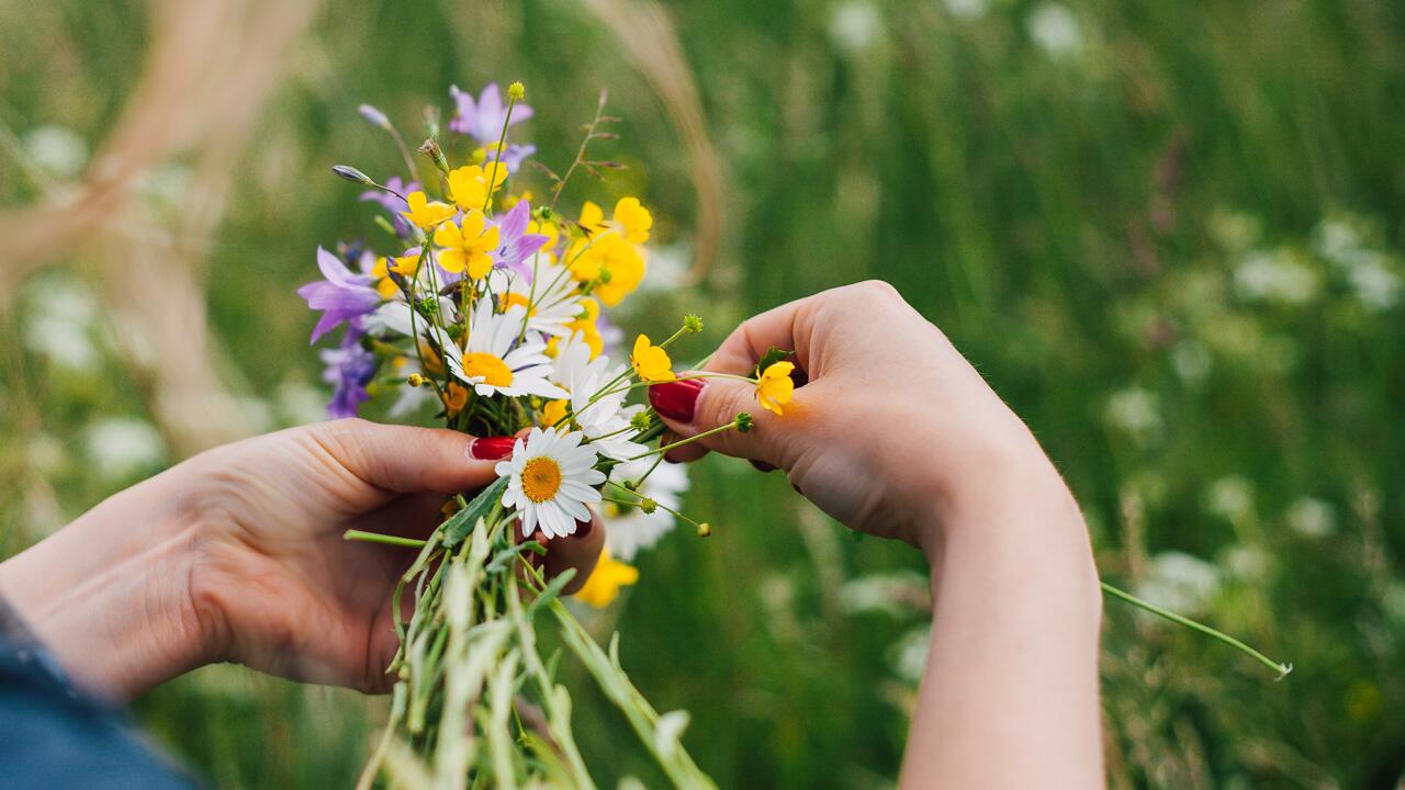 Blumen pflücken unterwegs: Erlaubt oder verboten?