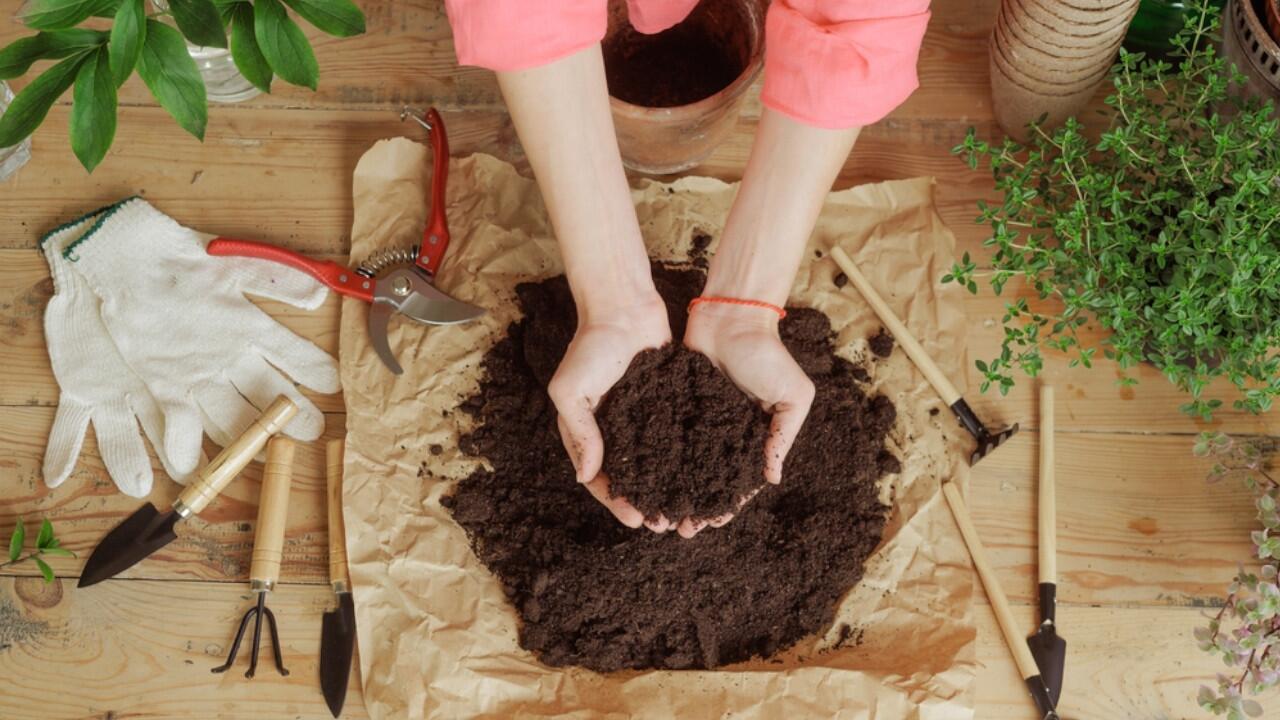 Die neue Blumenerde müffelt? Warum das ein gutes Zeichen ist